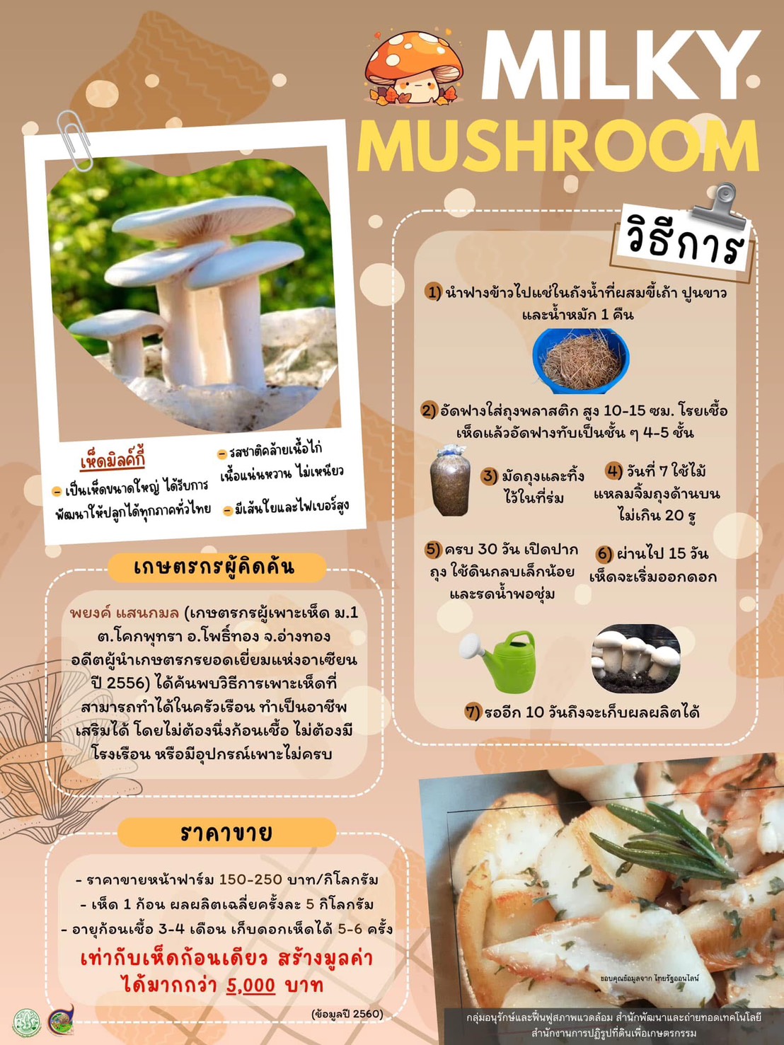 title - Milky Mushroom